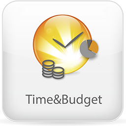 Kostenloser Time&Budget Webcast